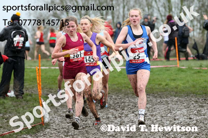Senior girls 2019 New Balance English Schools Cross Country Champs, Temple Newsam, Leeds. Photo:  David T. Hewitson/Sports for All Pics